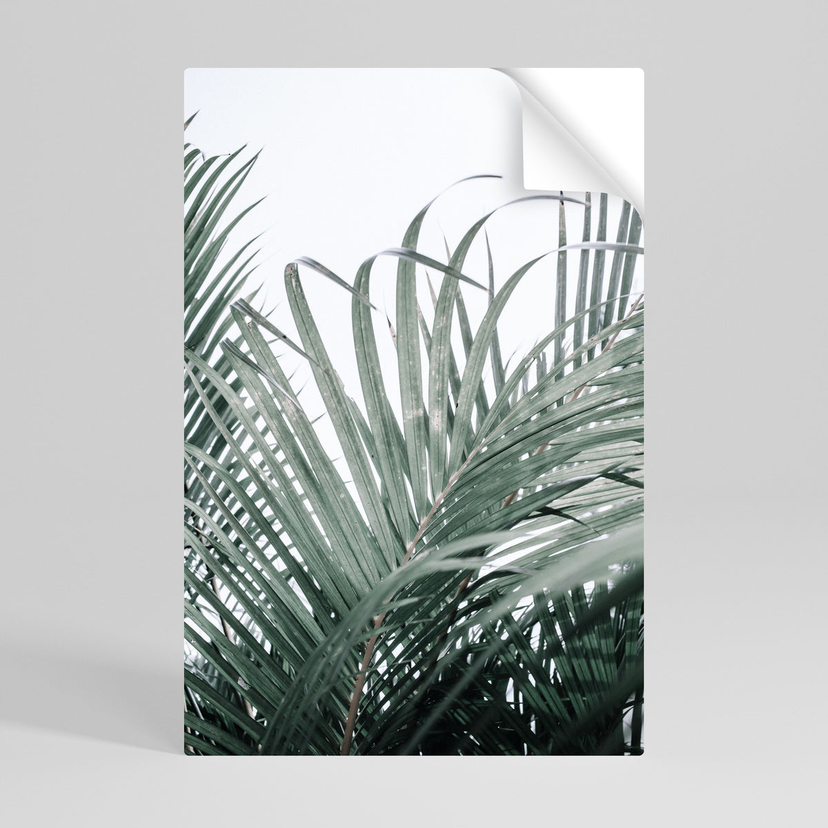 PALM WHISPERS Póster Autocolante Vertical