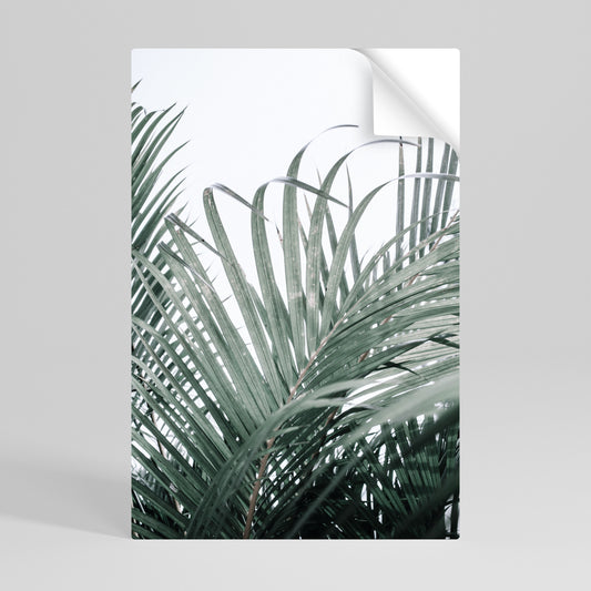 PALM WHISPERS Póster Autocolante Vertical