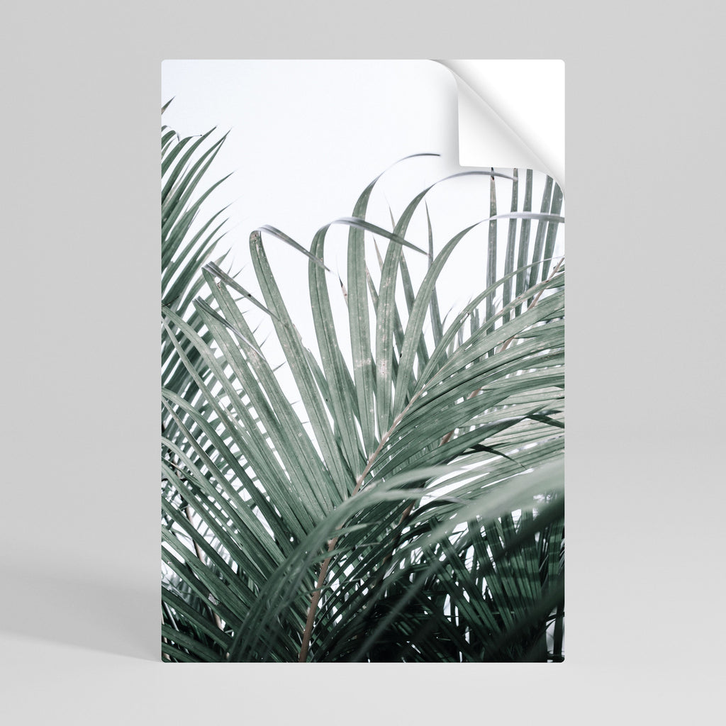 PALM WHISPERS Poster Vertical Autocolante
