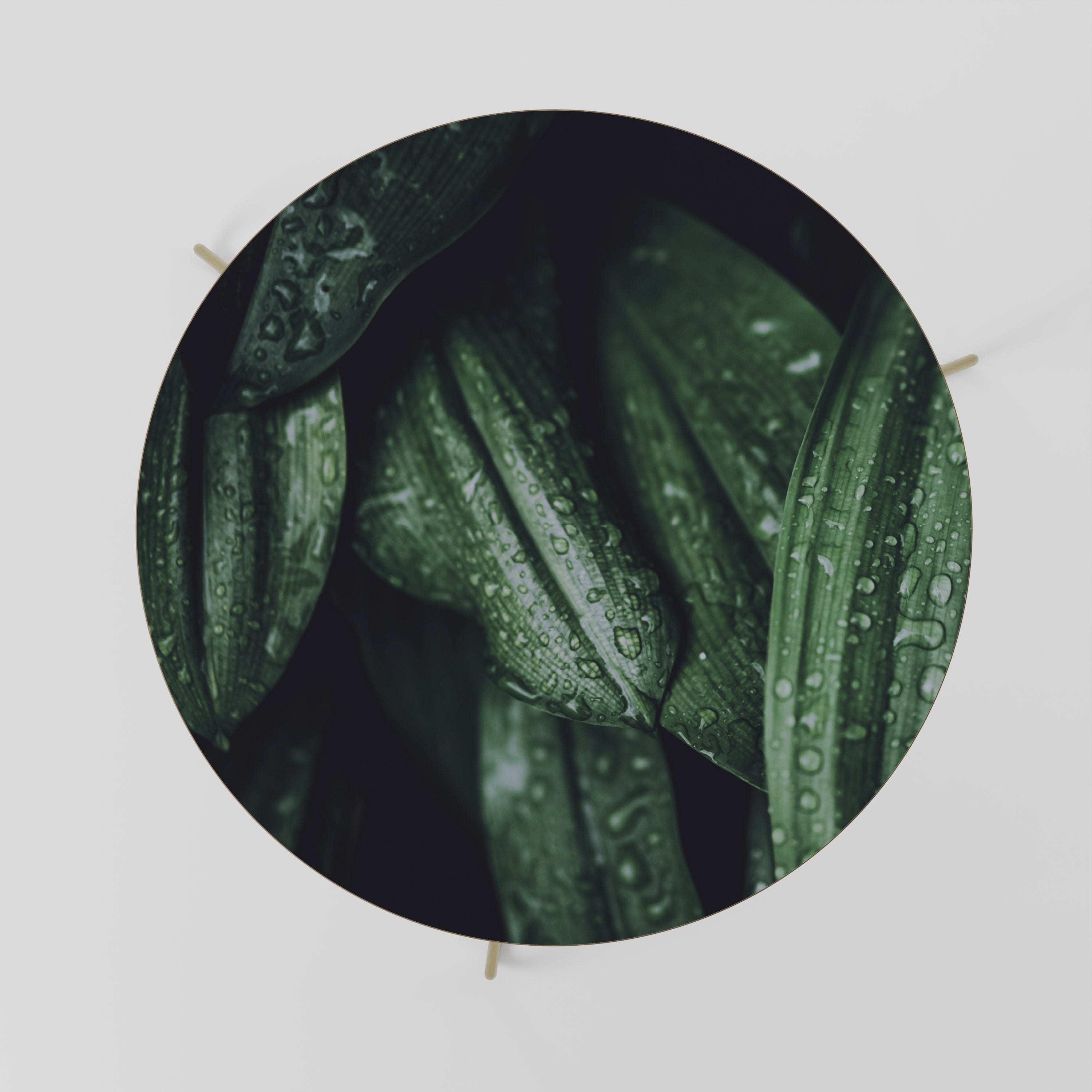 LUSH DROPLET DANCE Mesa de Centro 69