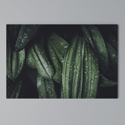 LUSH DROPLET DANCE Horizontal Canvas Print