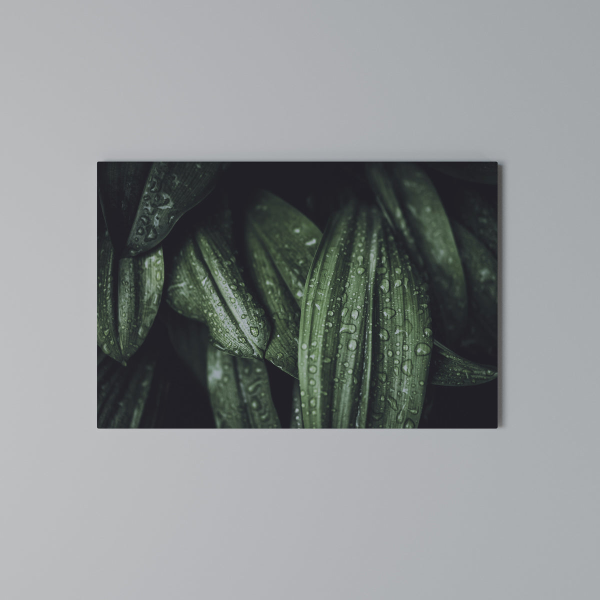 LUSH DROPLET DANCE Horizontal Canvas Print