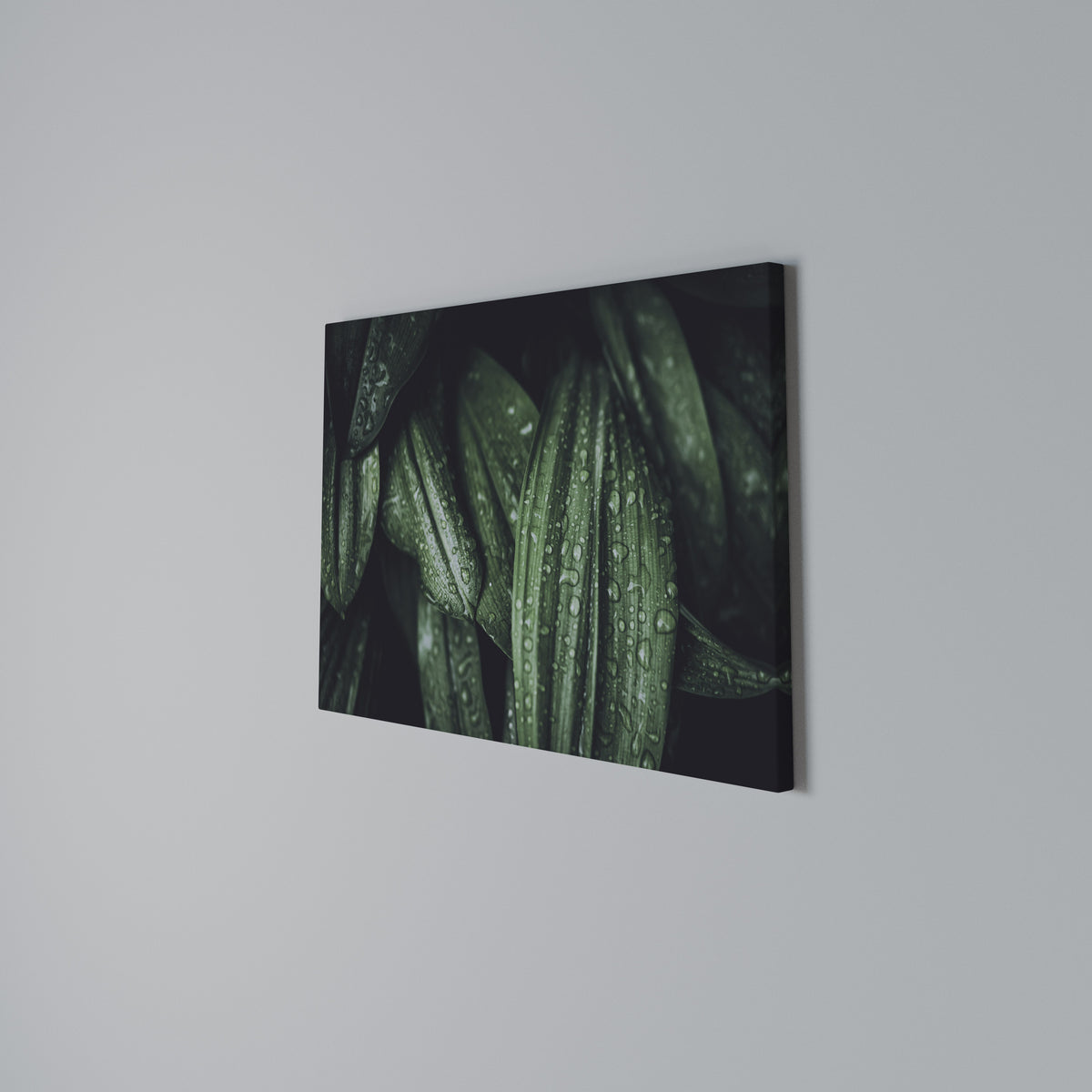LUSH DROPLET DANCE Horizontal Canvas Print
