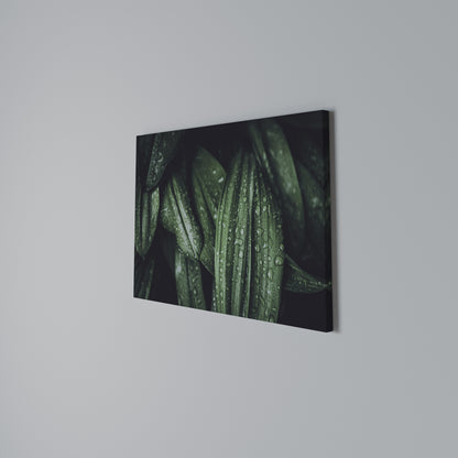 LUSH DROPLET DANCE Horizontal Canvas Print