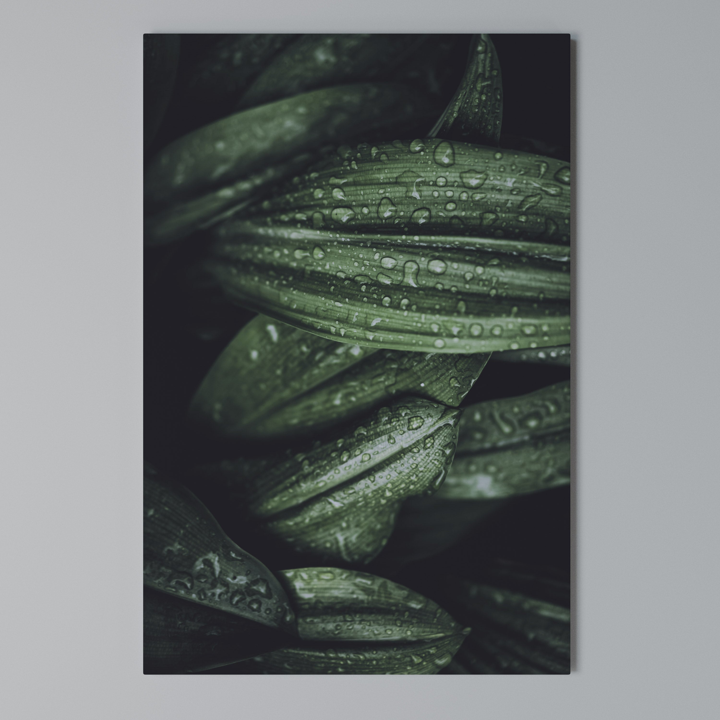 LUSH DROPLET DANCE Quadro em tela vertical