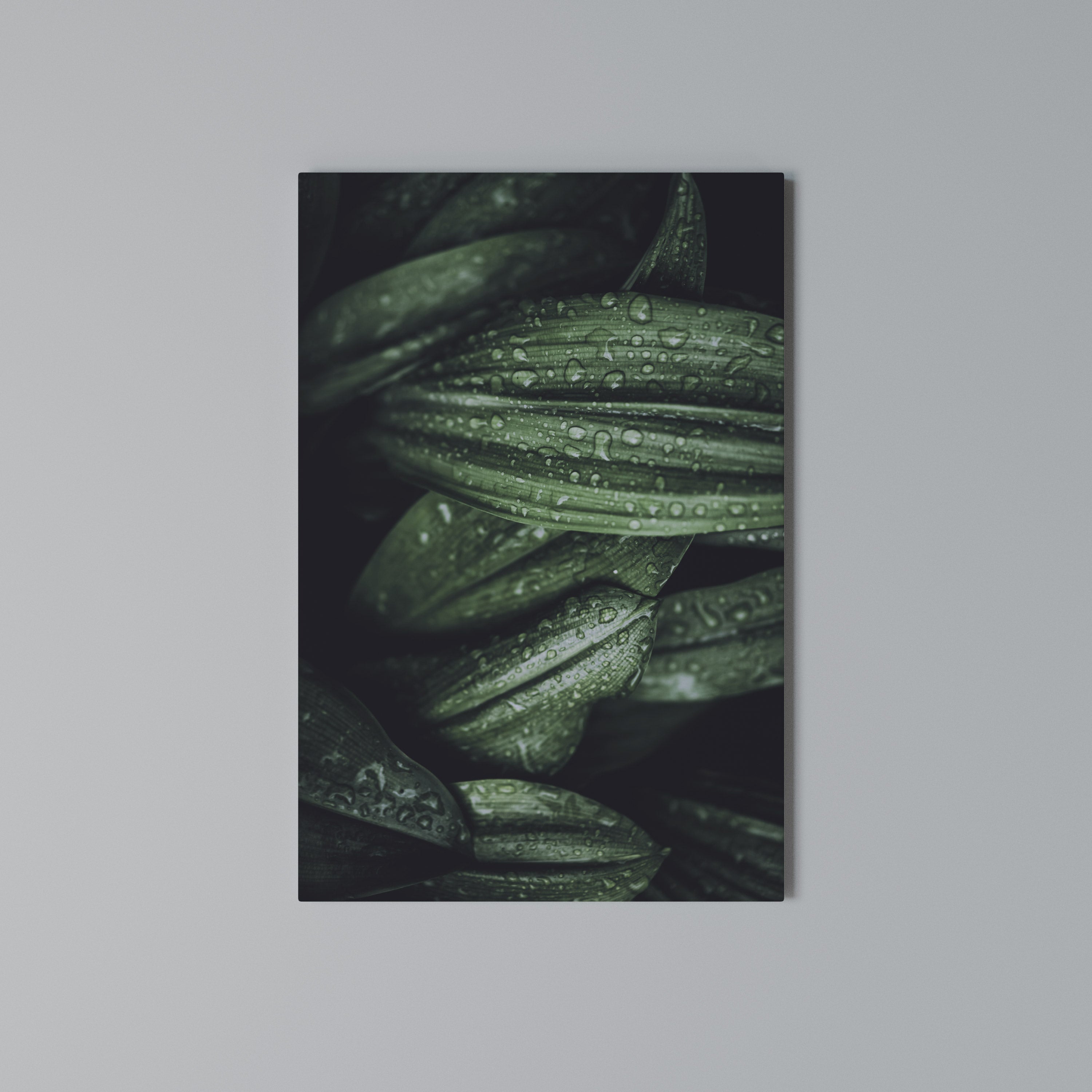 LUSH DROPLET DANCE Quadro em tela vertical