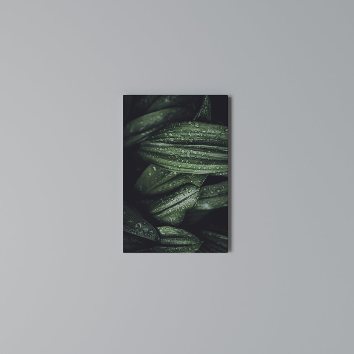 LUSH DROPLET DANCE Quadro em tela vertical