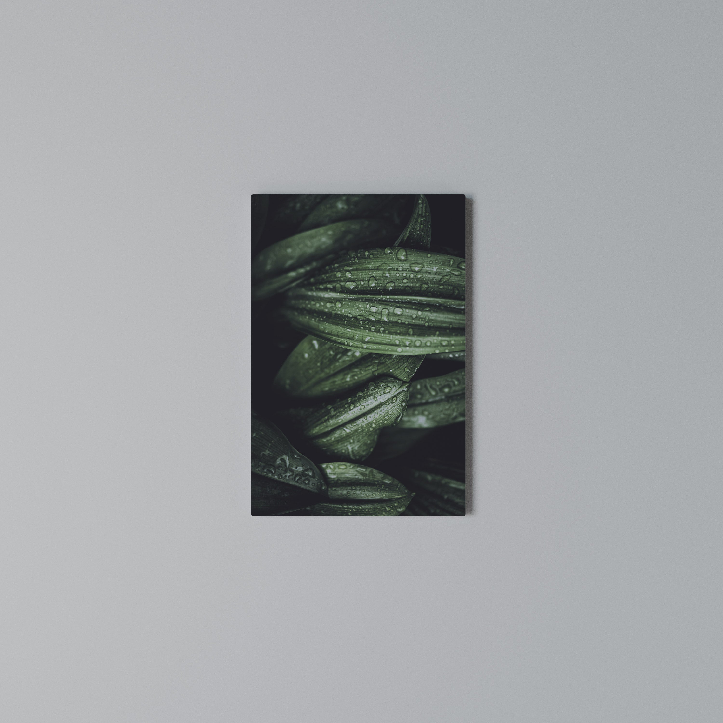 LUSH DROPLET DANCE Quadro em tela vertical