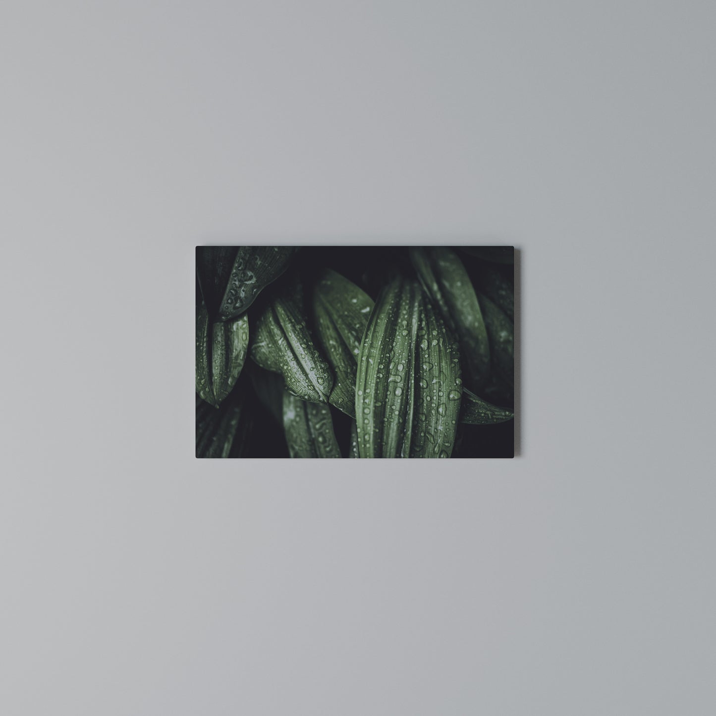 LUSH DROPLET DANCE Horizontal Canvas Print