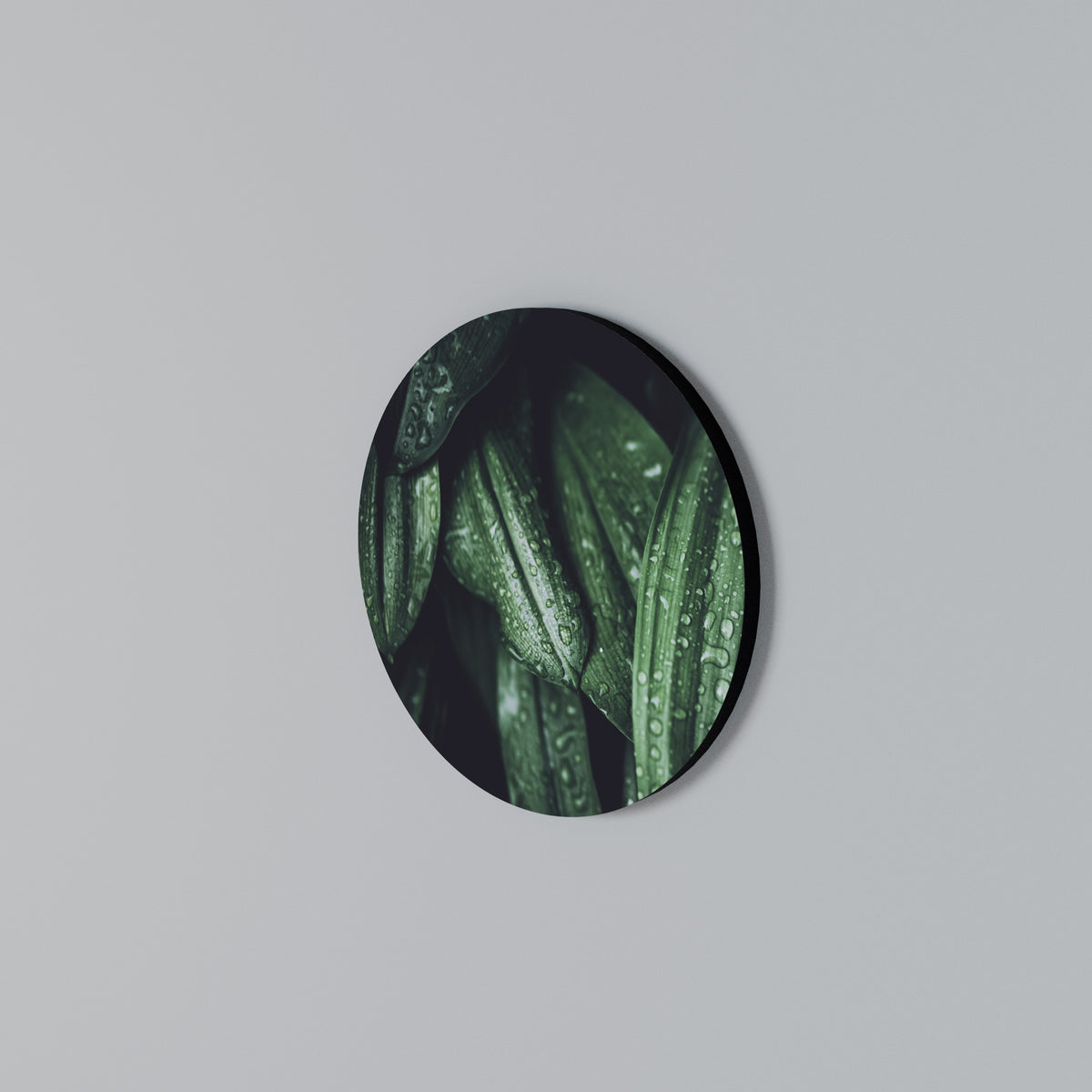 LUSH DROPLET DANCE Arte de Parede Redonda