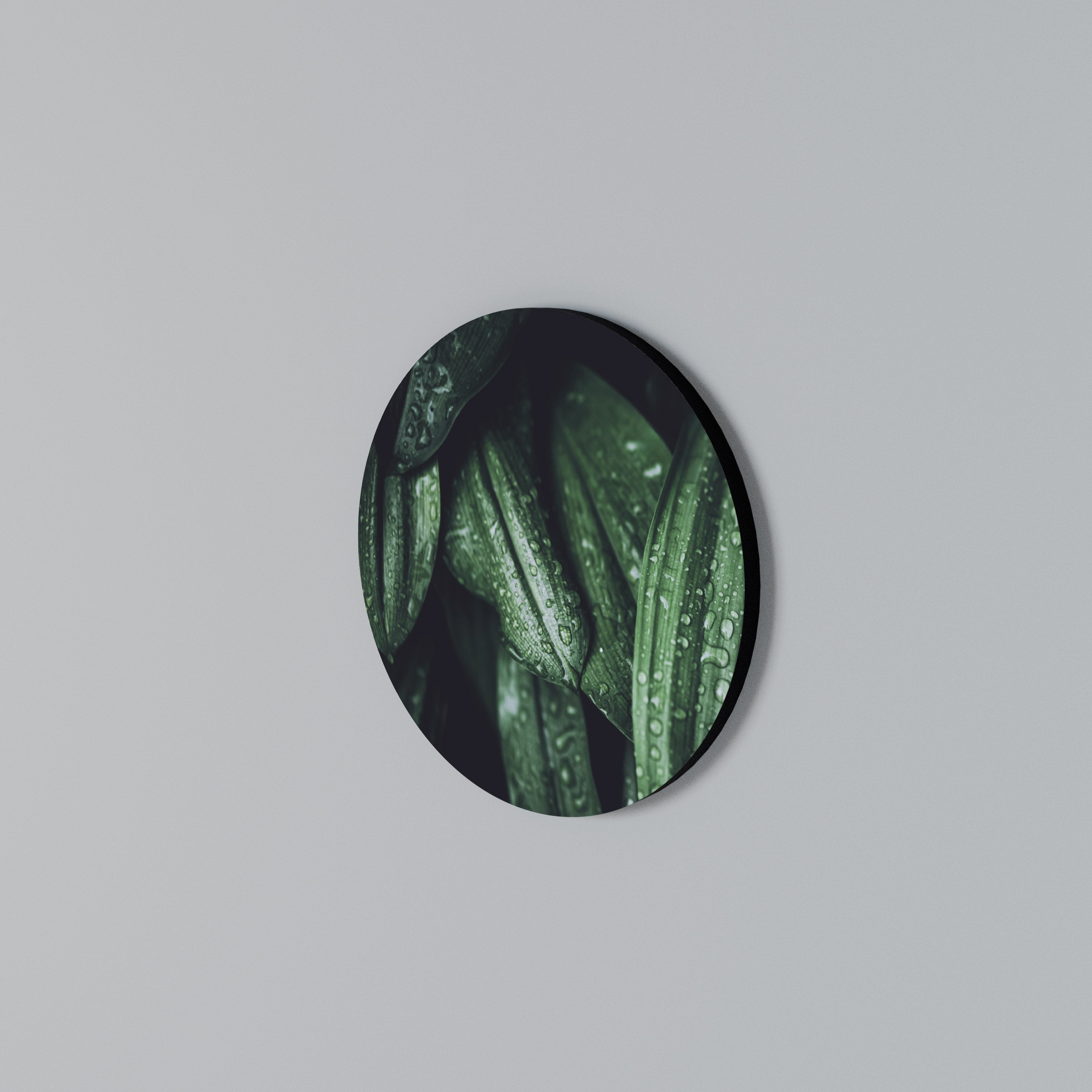 LUSH DROPLET DANCE Arte de Parede Redonda