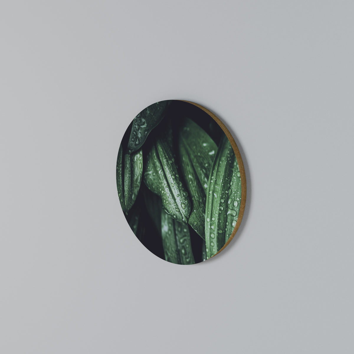 LUSH DROPLET DANCE Arte de Parede Redonda