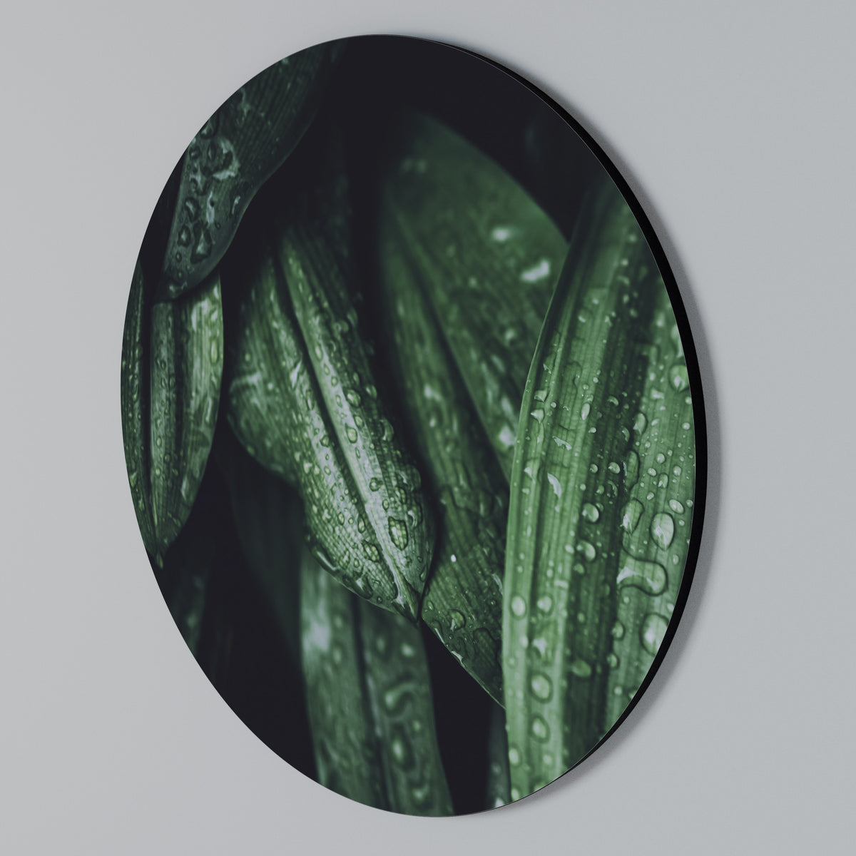 LUSH DROPLET DANCE Arte de Parede Redonda