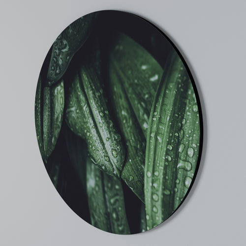 LUSH DROPLET DANCE Round Wall Art
