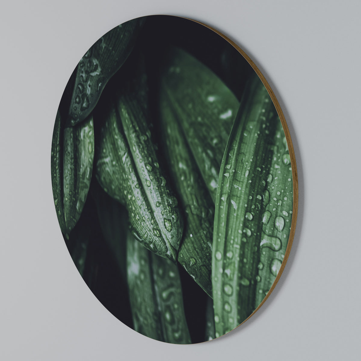 LUSH DROPLET DANCE Arte de Parede Redonda