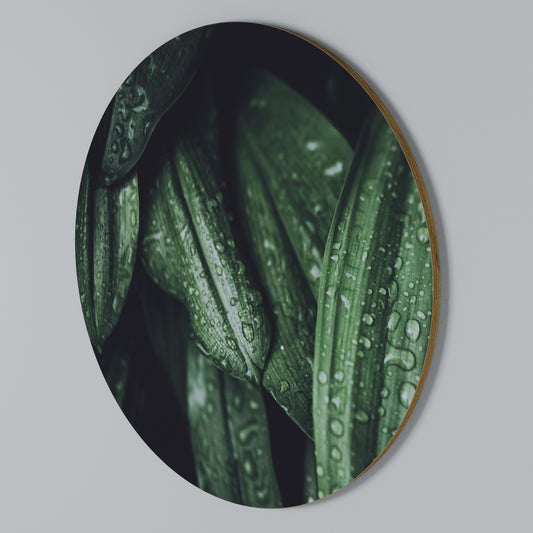 LUSH DROPLET DANCE Arte de Parede Redonda