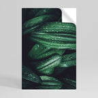 LUSH DROPLET DANCE Poster Vertical Autocolante