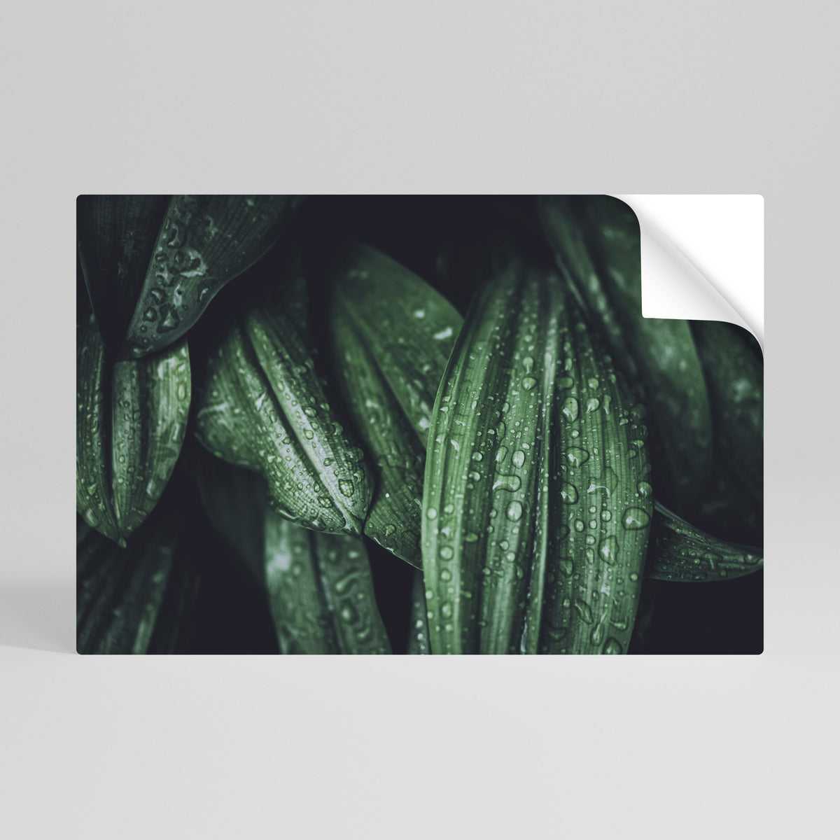 LUSH DROPLET DANCE Póster Autocolante Horizontal