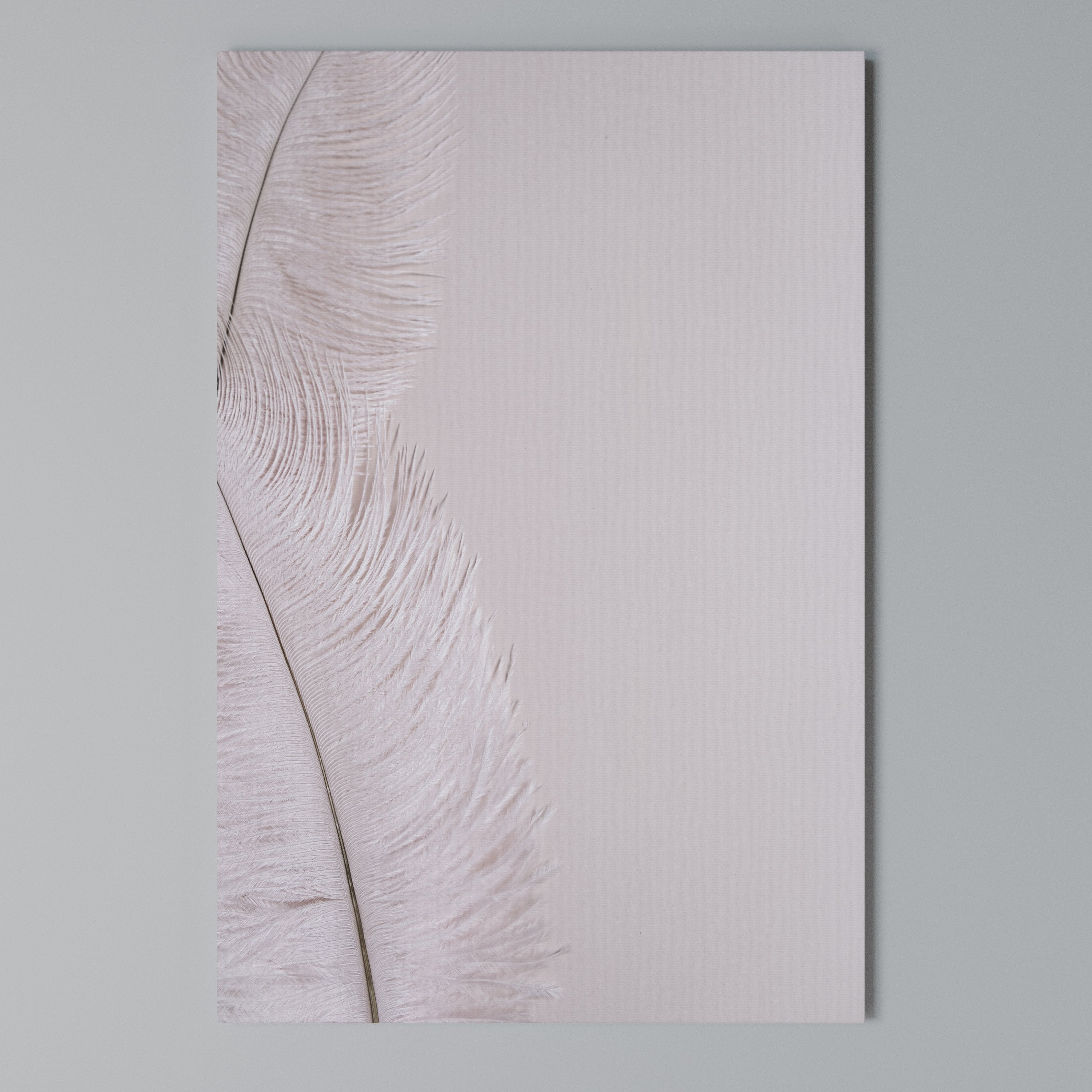 WHISPERING PINK FEATHERS Quadro em tela vertical