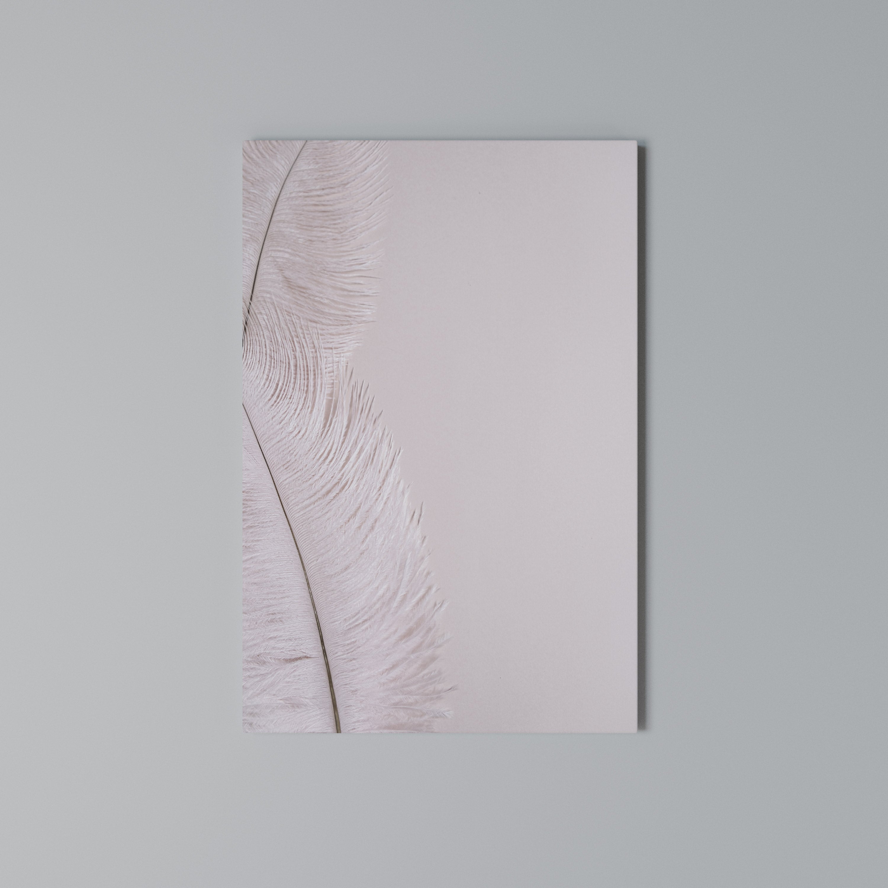 WHISPERING PINK FEATHERS Quadro em tela vertical