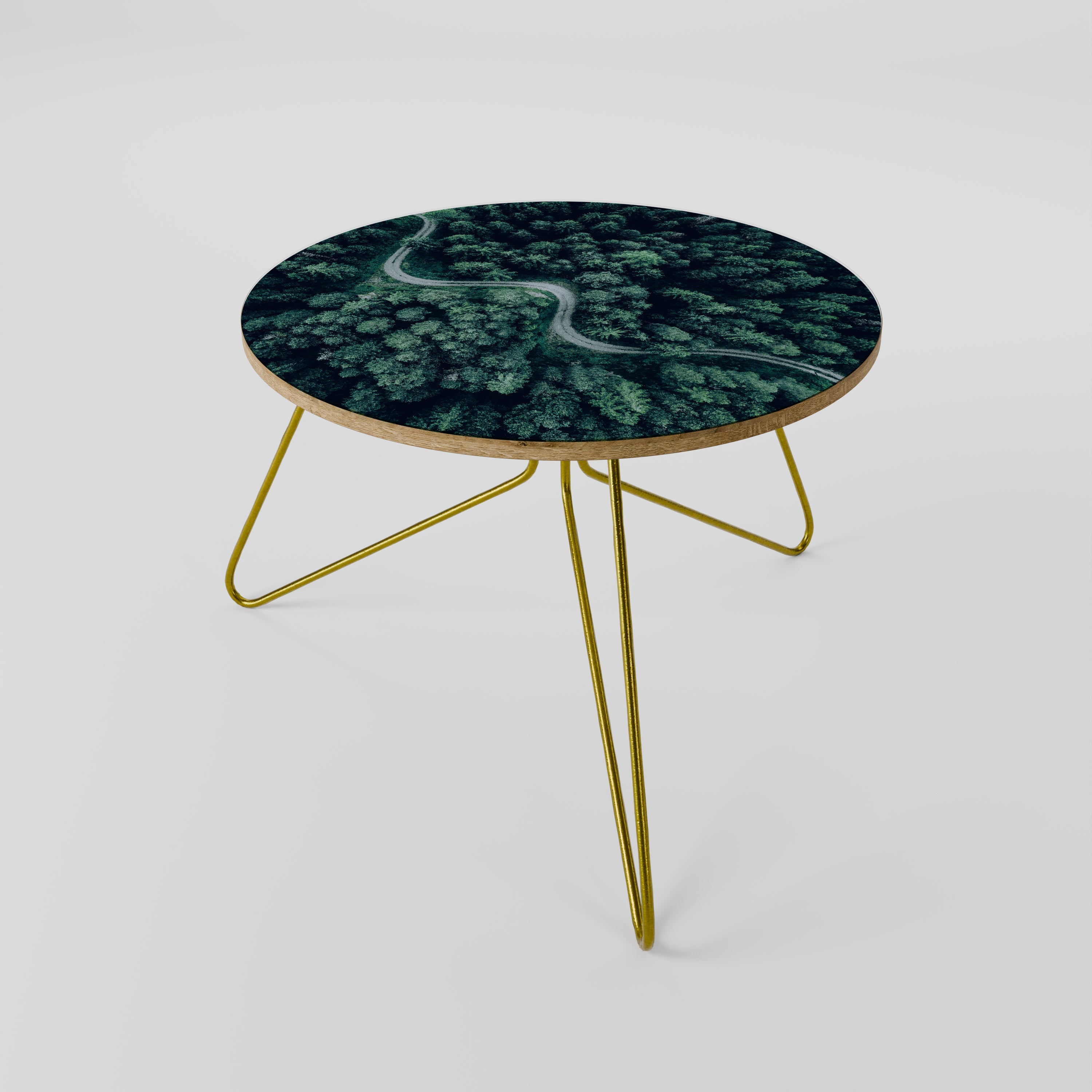 FORESTED SERPENTINE ROUTE Coffee Table 60
