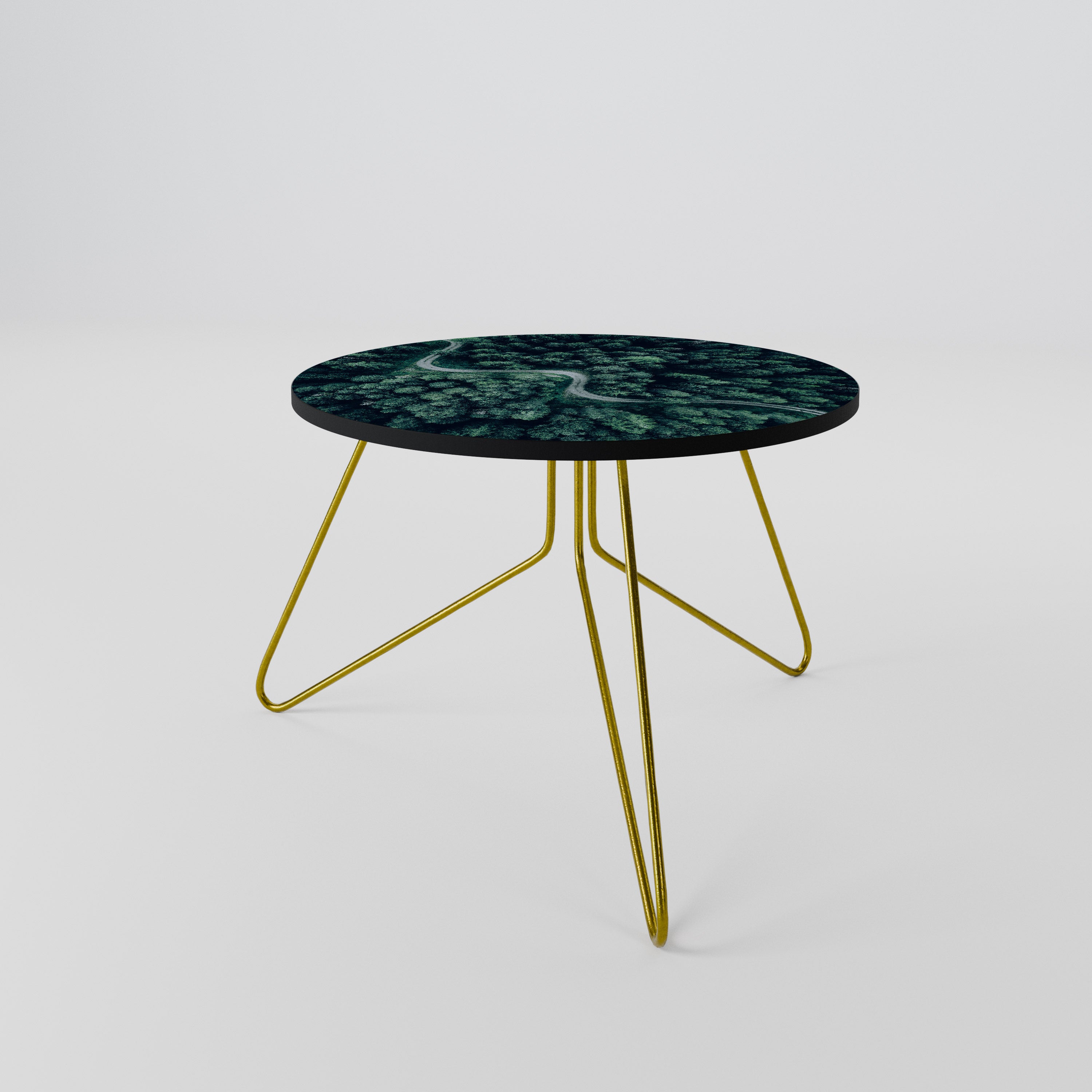 FORESTED SERPENTINE ROUTE Coffee Table
