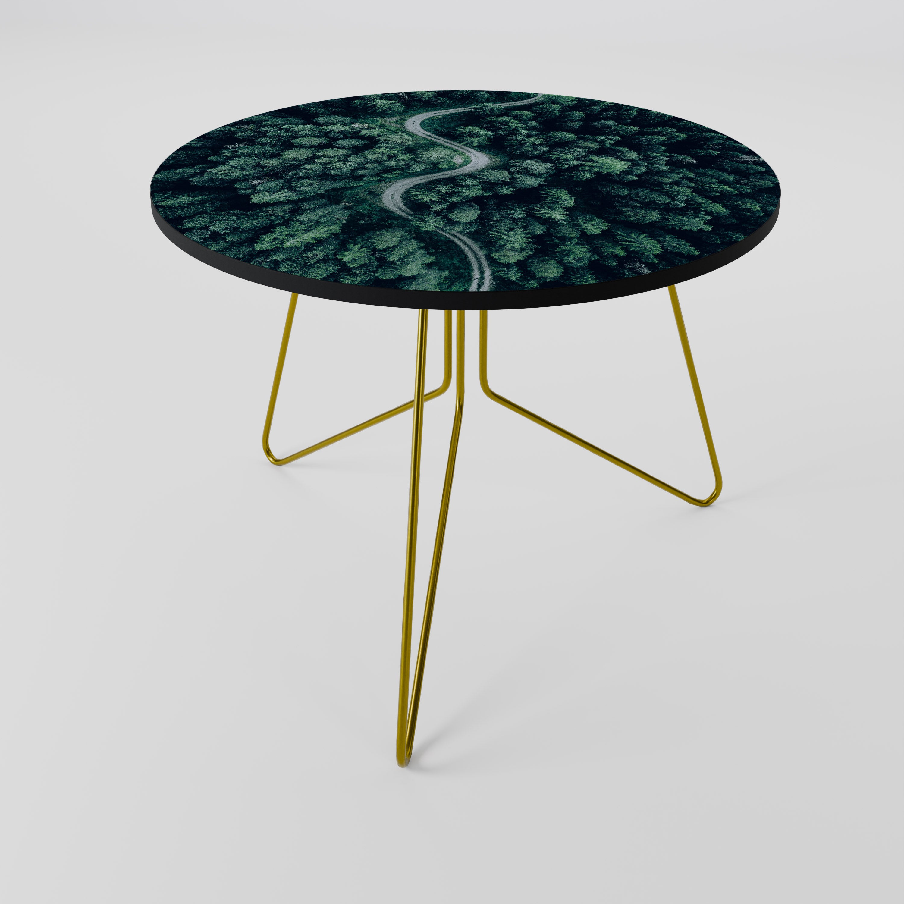 FORESTED SERPENTINE ROUTE Coffee Table