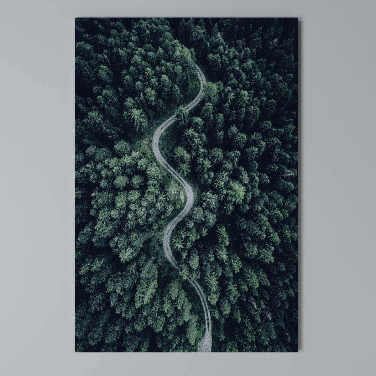 FORESTED SERPENTINE ROUTE Quadro em tela vertical
