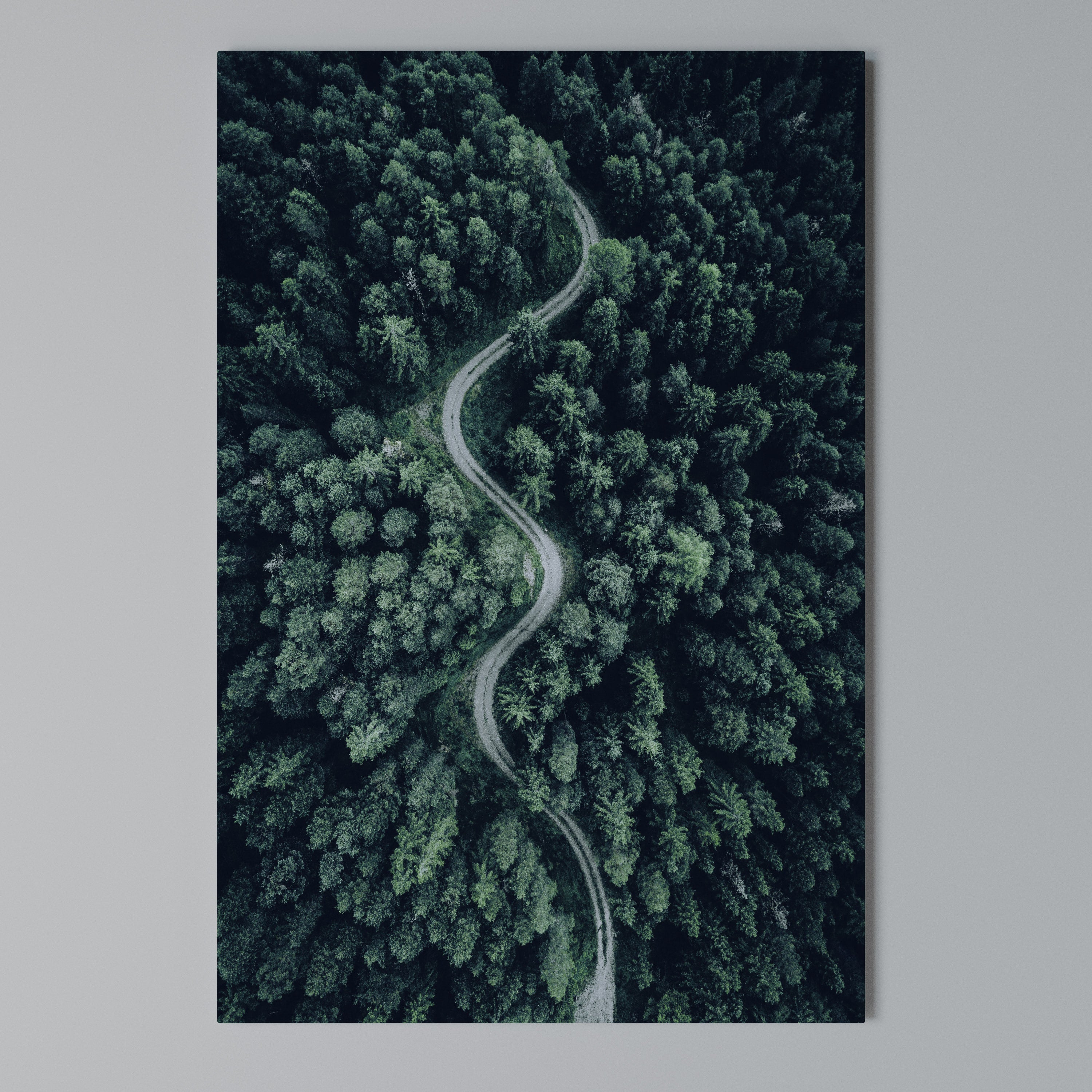 FORESTED SERPENTINE ROUTE Quadro em tela vertical