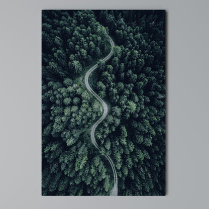 FORESTED SERPENTINE ROUTE Quadro em tela vertical