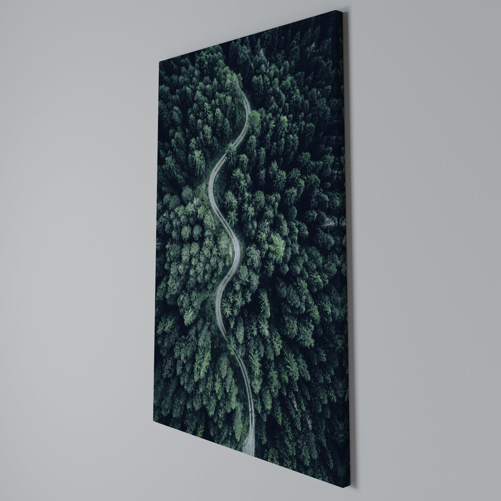 FORESTED SERPENTINE ROUTE Quadro em tela vertical