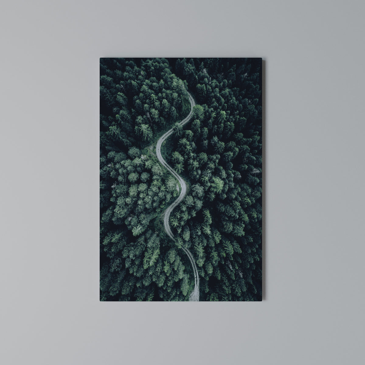 FORESTED SERPENTINE ROUTE Quadro em tela vertical