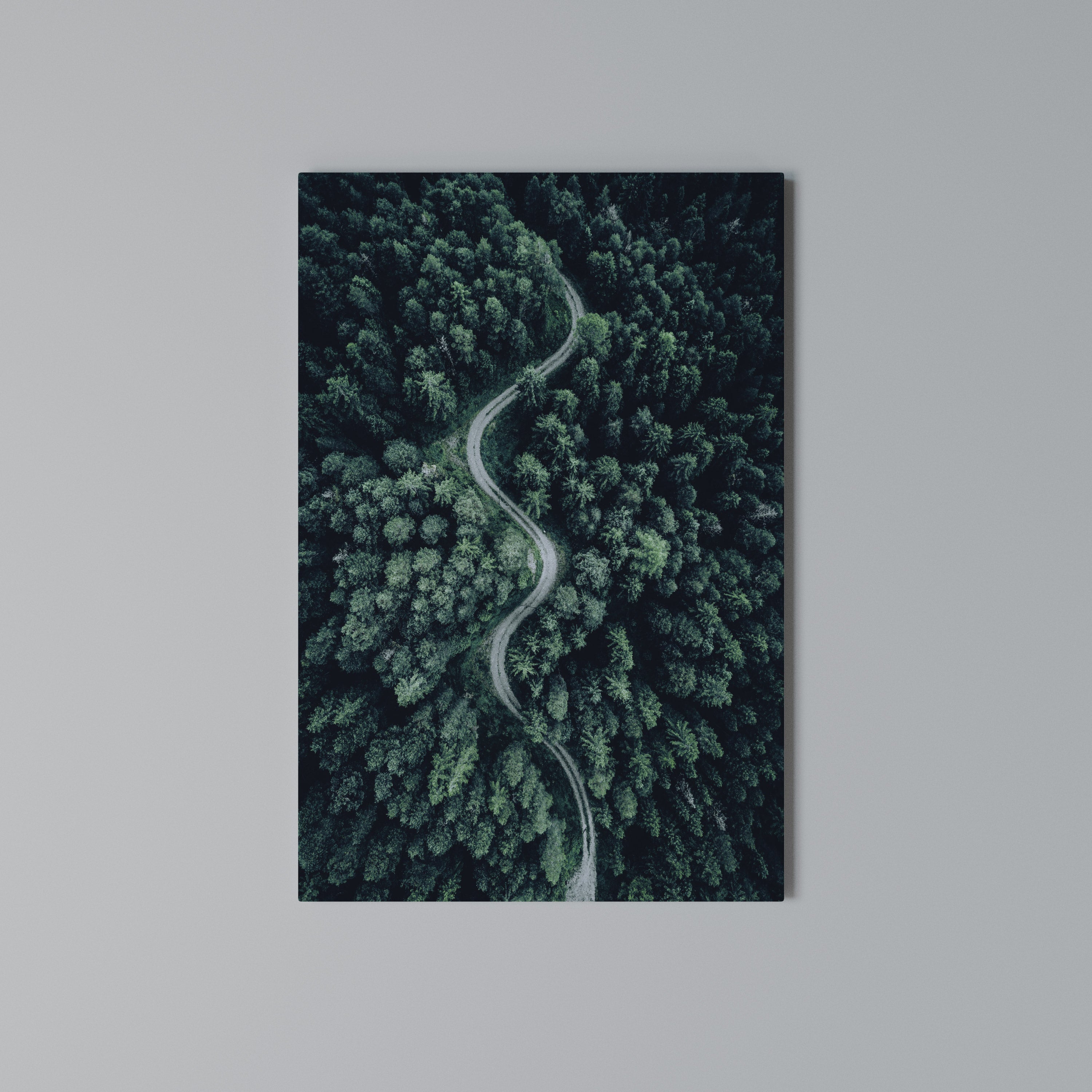 FORESTED SERPENTINE ROUTE Quadro em tela vertical