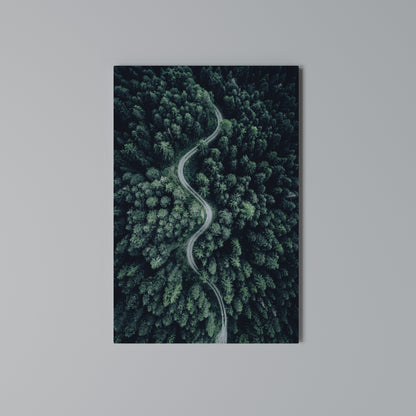 FORESTED SERPENTINE ROUTE Quadro em tela vertical
