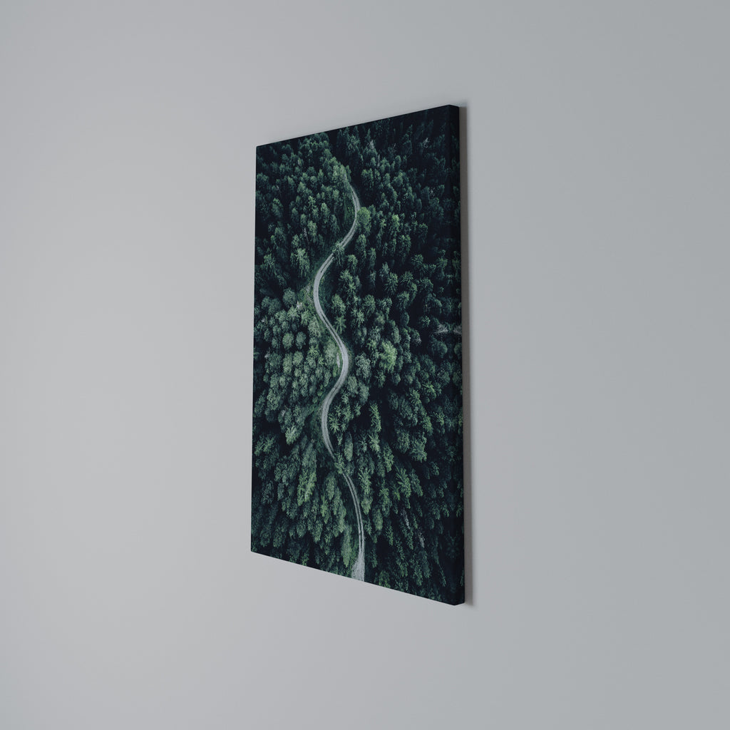 FORESTED SERPENTINE ROUTE Quadro em tela vertical
