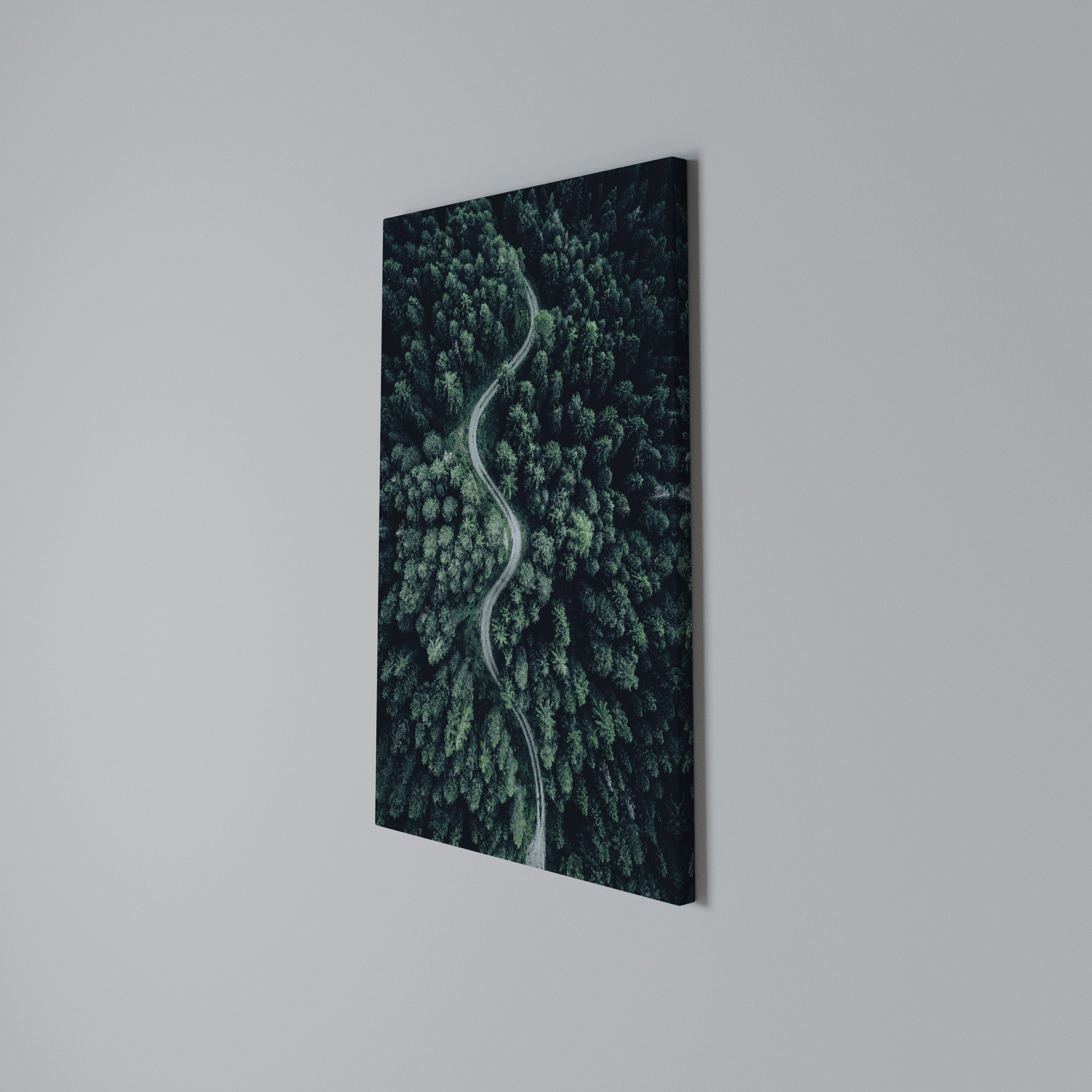 FORESTED SERPENTINE ROUTE Quadro em tela vertical
