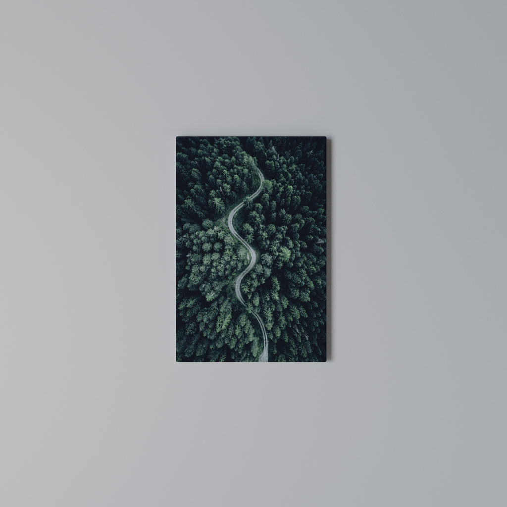FORESTED SERPENTINE ROUTE Quadro em tela vertical