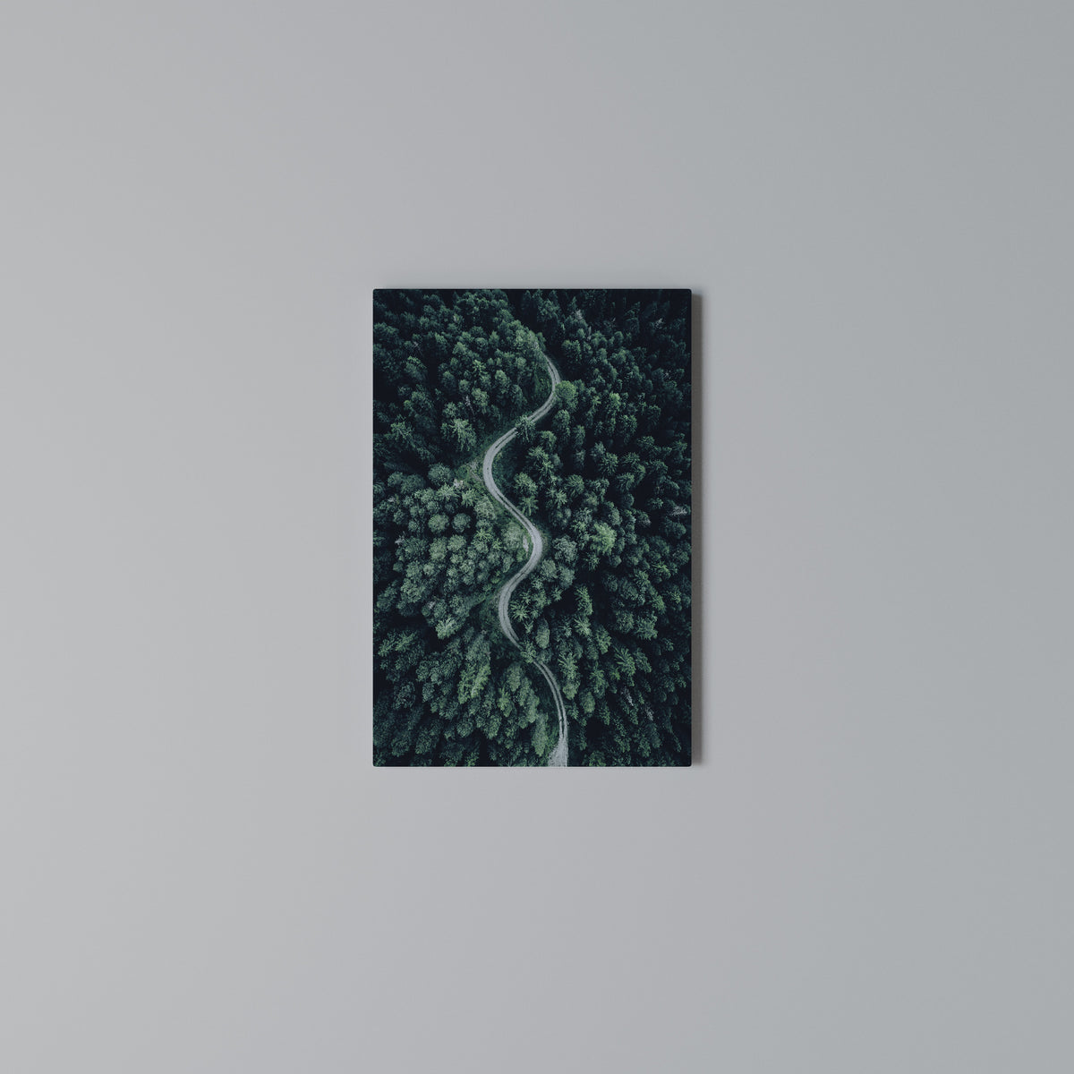 FORESTED SERPENTINE ROUTE Quadro em tela vertical