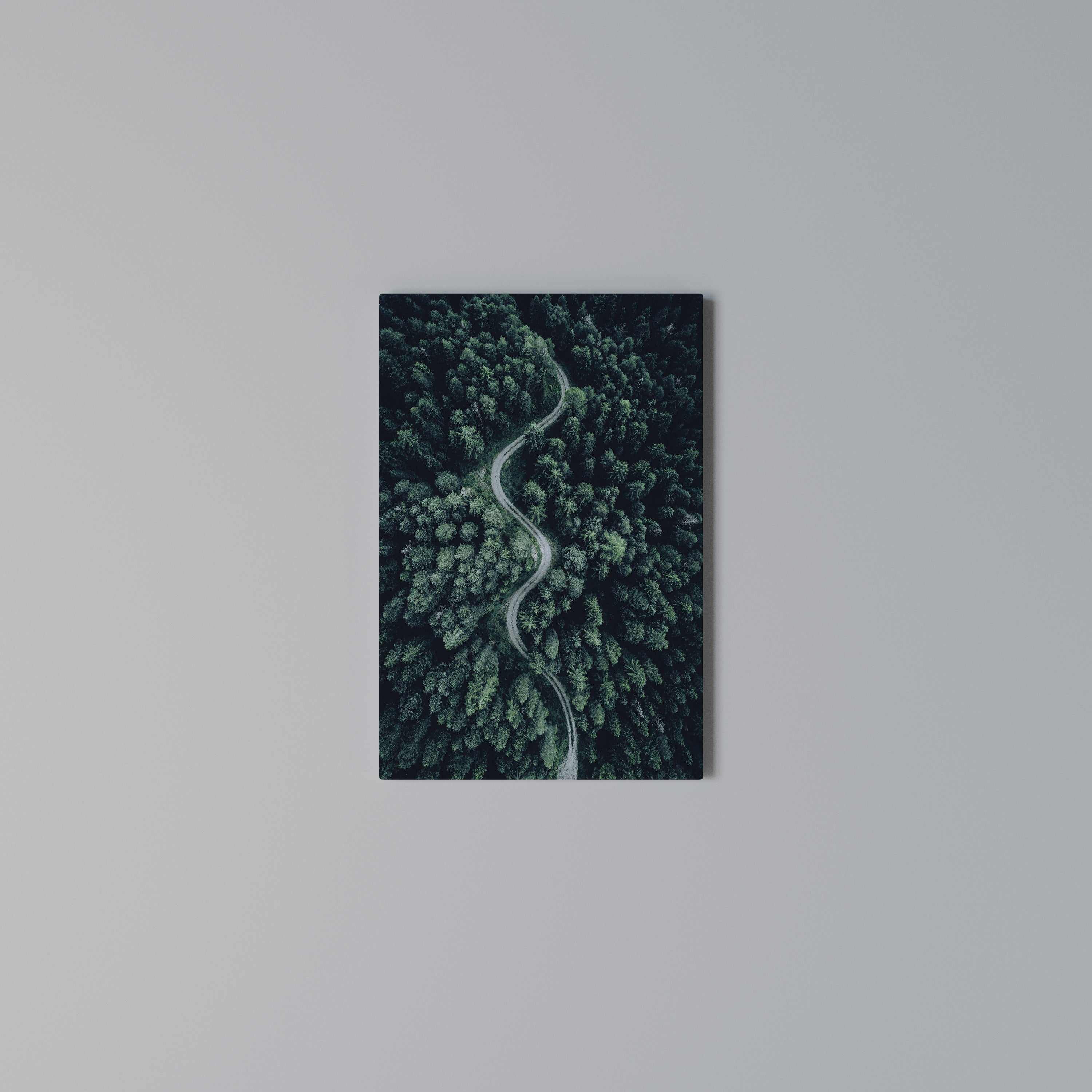 FORESTED SERPENTINE ROUTE Quadro em tela vertical