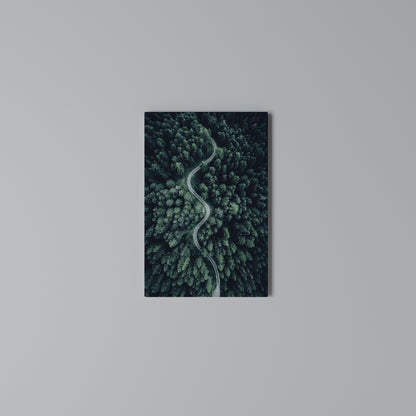 FORESTED SERPENTINE ROUTE Quadro em tela vertical
