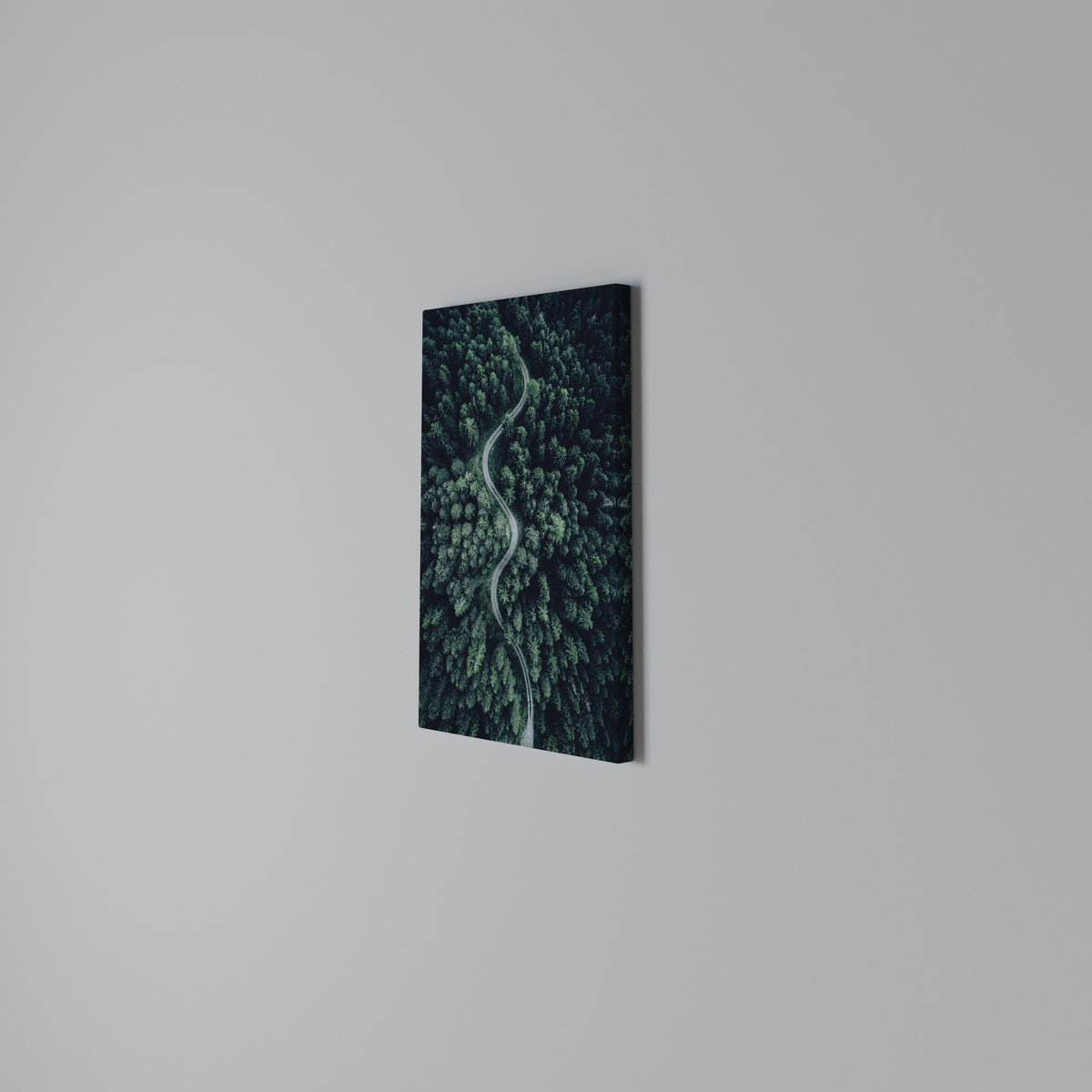 FORESTED SERPENTINE ROUTE Quadro em tela vertical