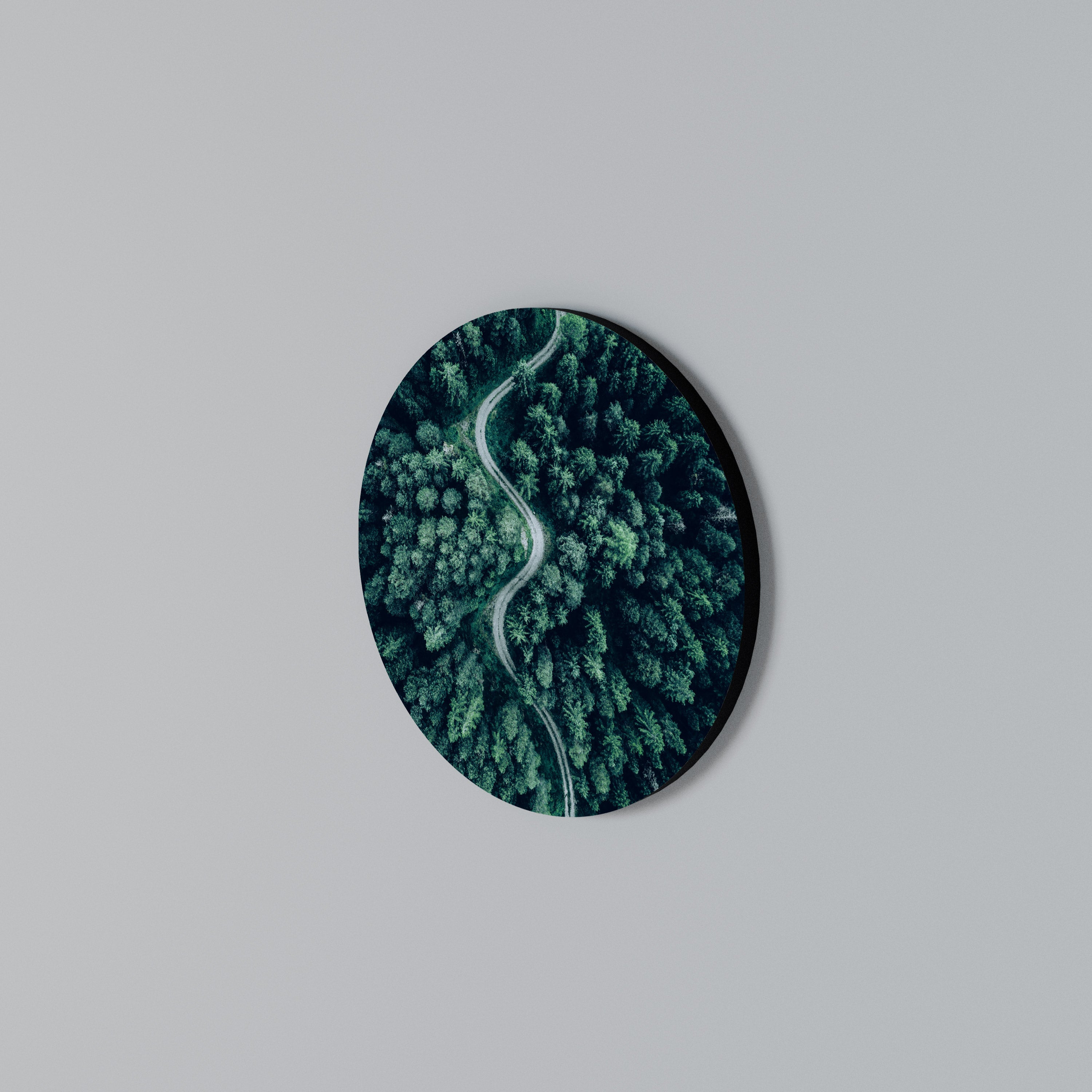 FORESTED SERPENTINE ROUTE Arte de Parede Redonda