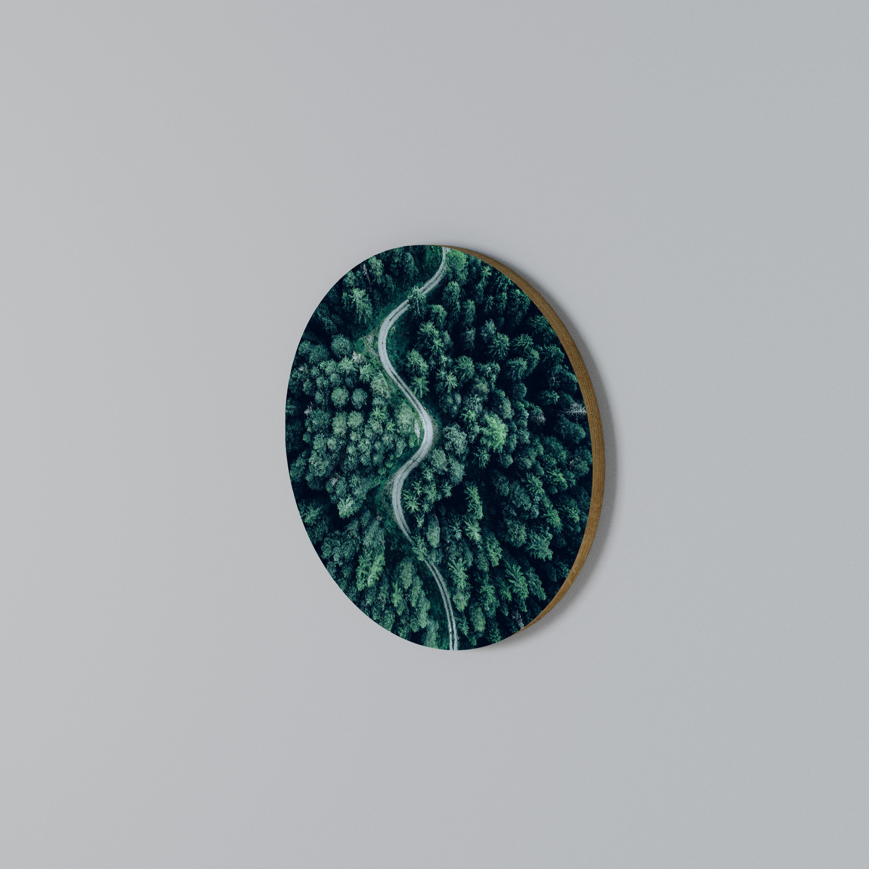 FORESTED SERPENTINE ROUTE Arte de Parede Redonda