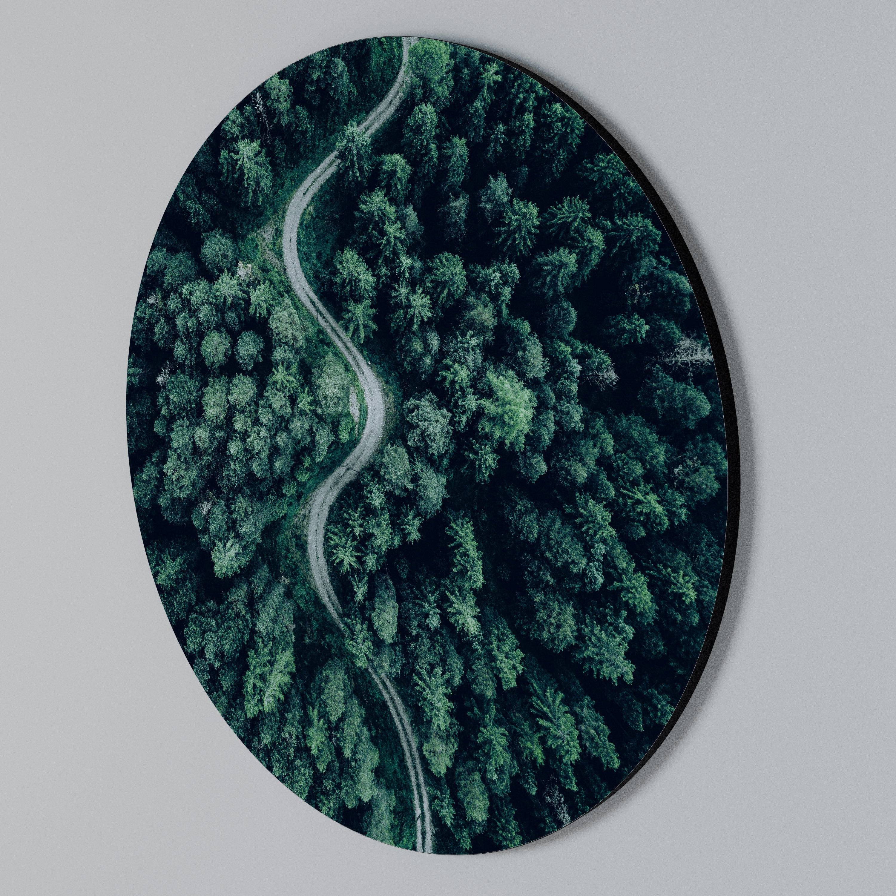 FORESTED SERPENTINE ROUTE Arte de Parede Redonda