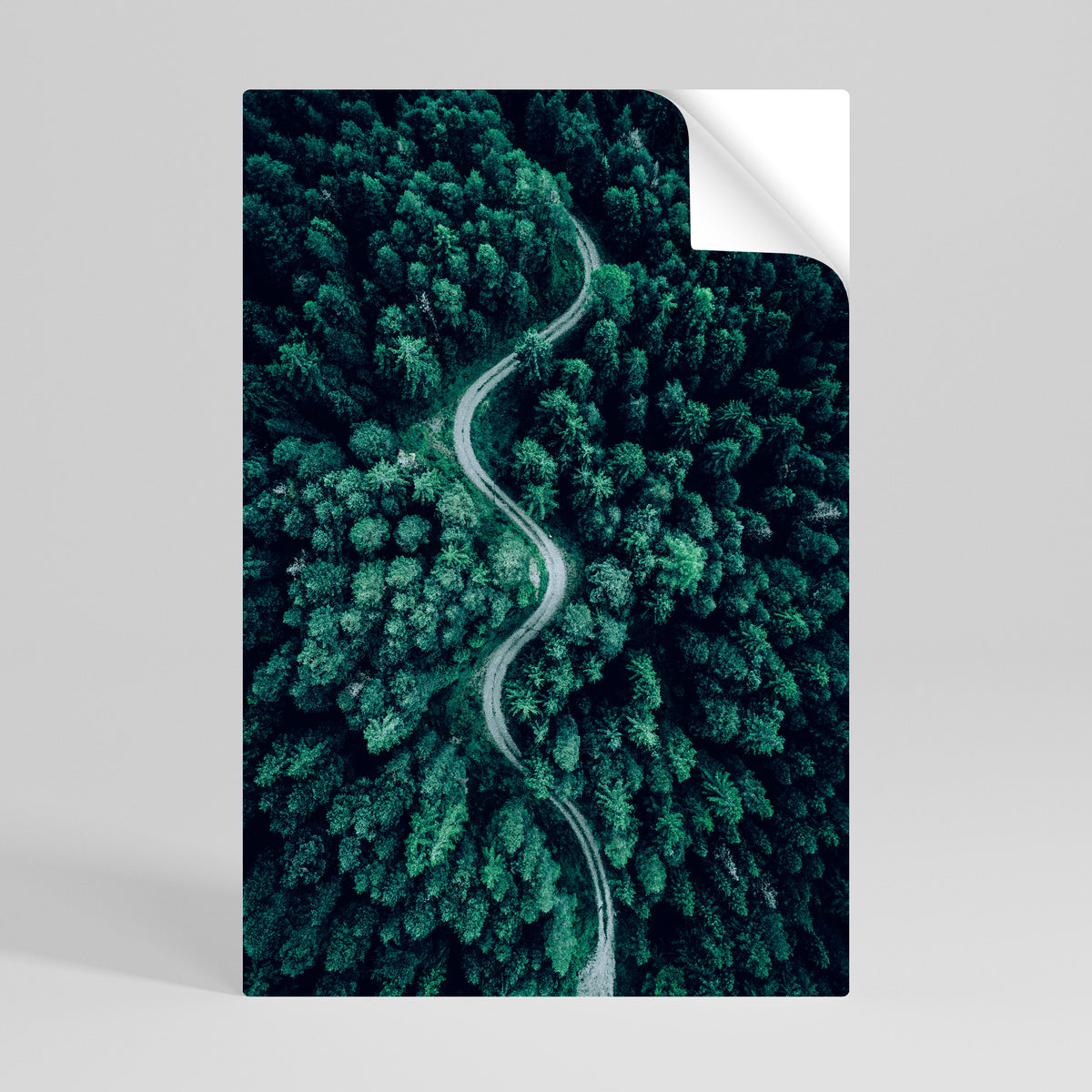 FORESTED SERPENTINE ROUTE Póster Autocolante Vertical