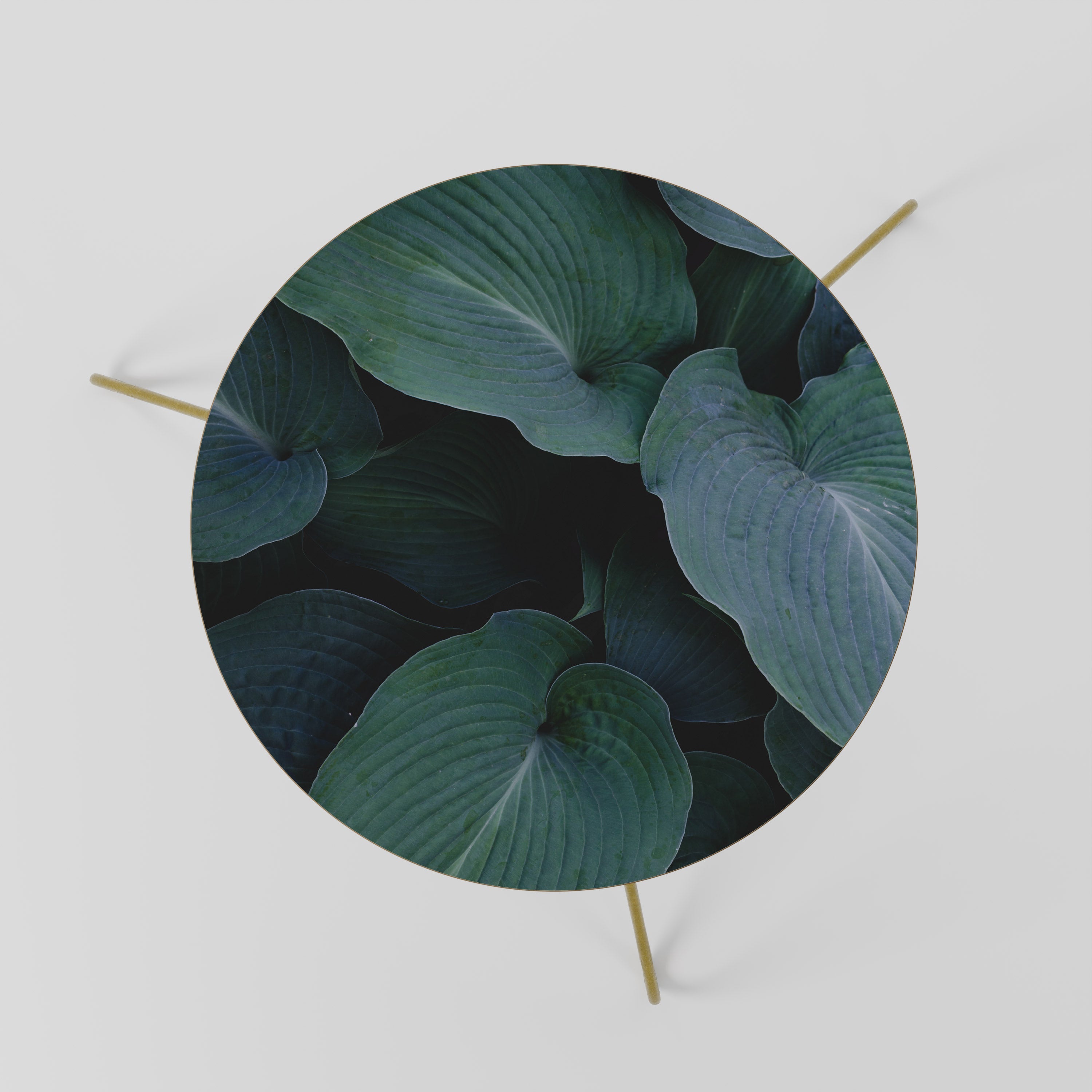 ENCHANTED FOLIAGE DANCE Mesa de Centro 60