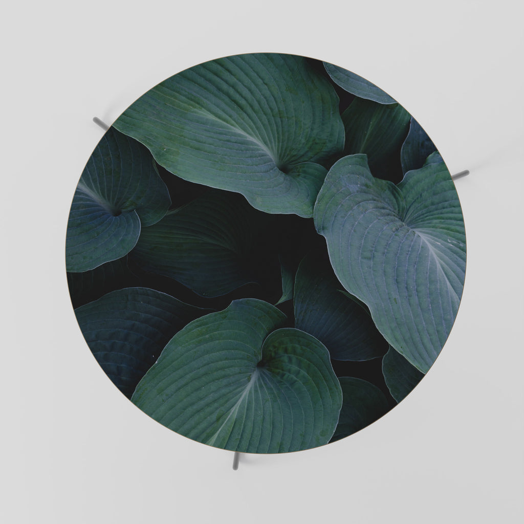 ENCHANTED FOLIAGE DANCE Mesa de Centro 69