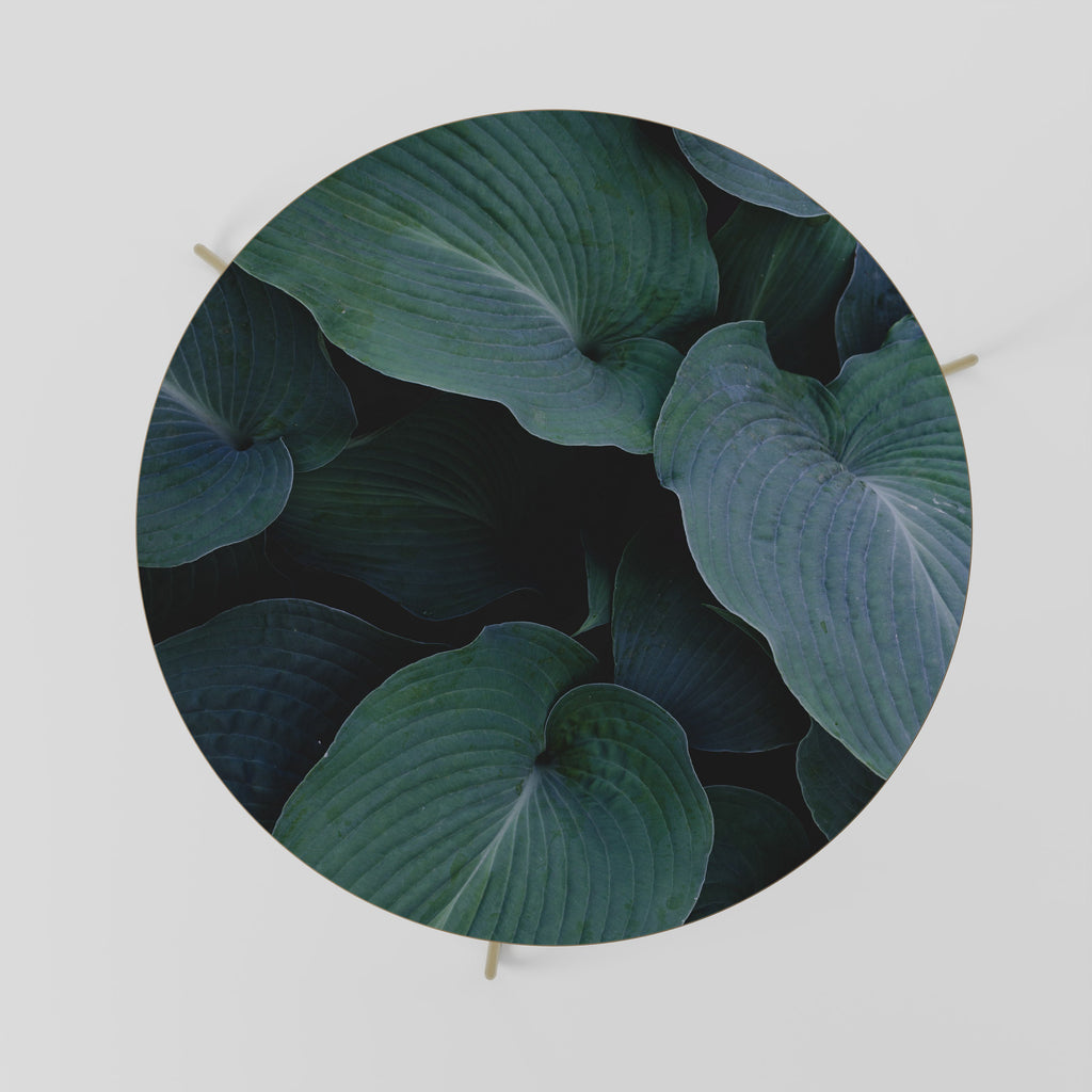 ENCHANTED FOLIAGE DANCE Mesa de Centro 69