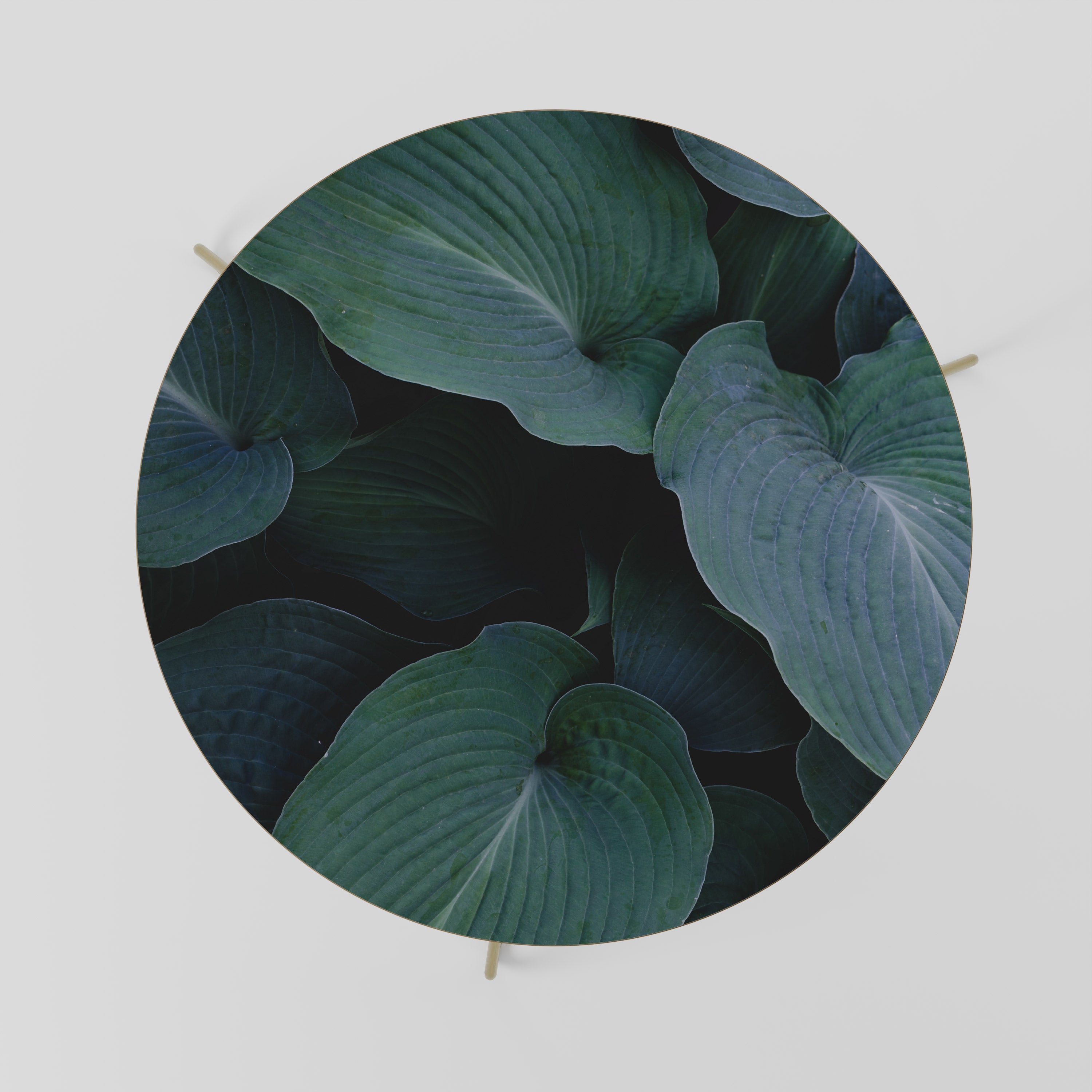 ENCHANTED FOLIAGE DANCE Mesa de Centro 69