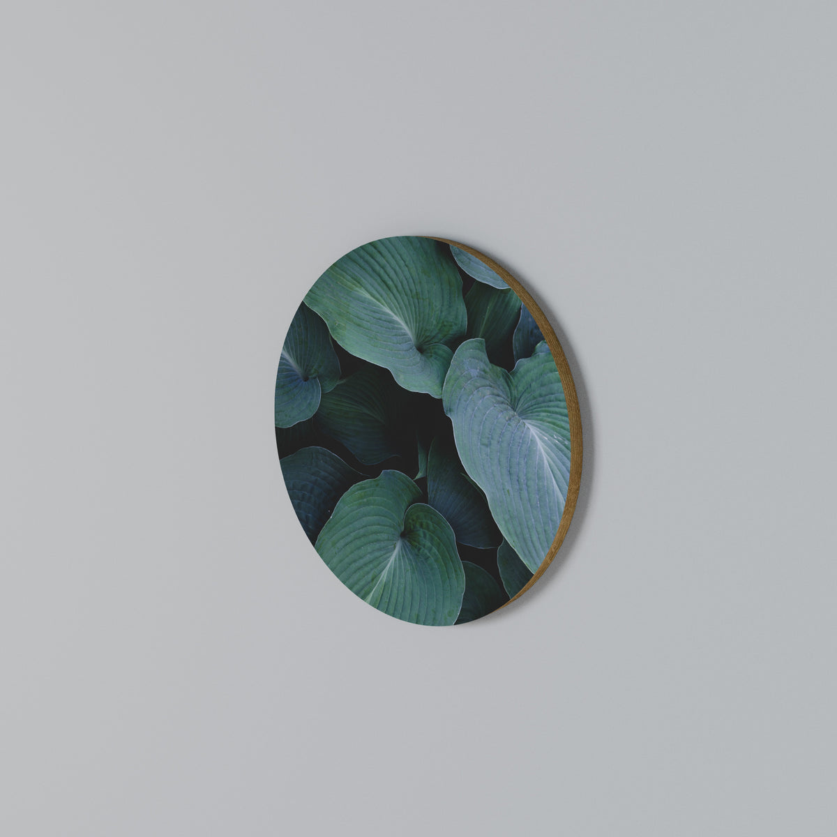 ENCHANTED FOLIAGE DANCE Arte de Parede Redonda